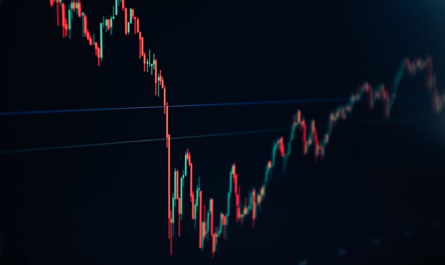 Бульдог Торговый Робот Обзор и Преимущества Использования