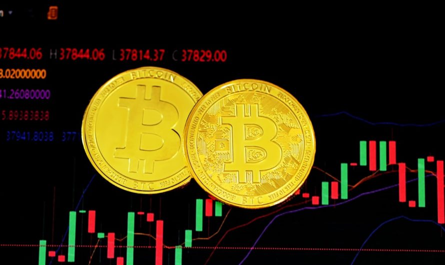 Роль программиста в создании торгового робота