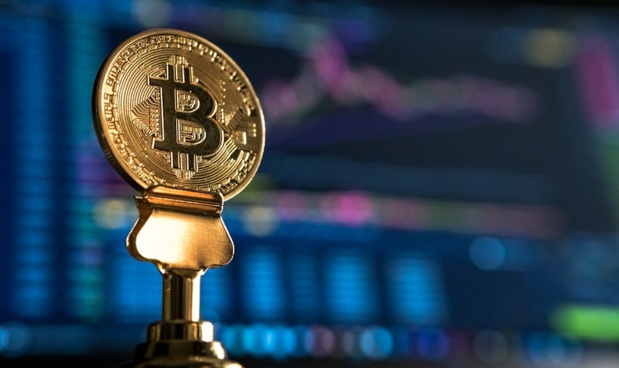Бесплатное обучение онлайн трейдингу и автоматизация торговли с CopySoft