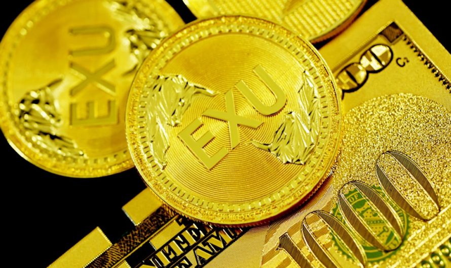 Автоматическая торговля на рынке Forex: как выбрать и настроить торговый робот