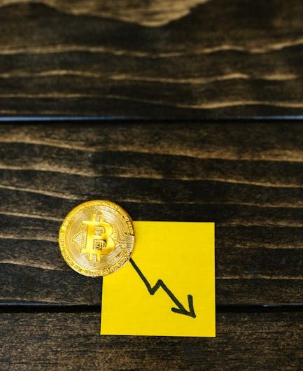 CopySoft: автоматизация торговли и заработок на торговых роботах